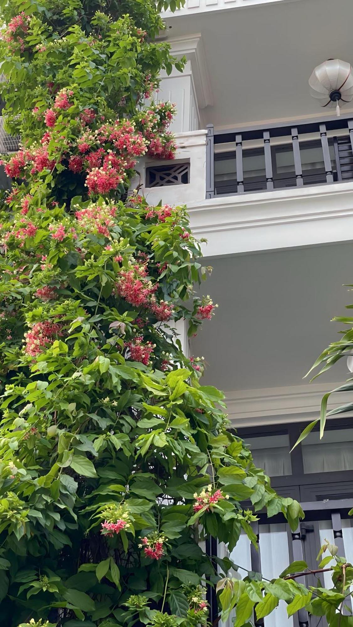 Hoi An Discovery Villa Zewnętrze zdjęcie